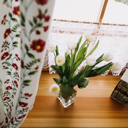 Erzgebirgshaus Zirbenliebe *