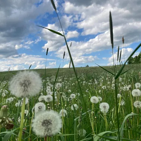 Erzgebirgshaus Zirbenliebe *