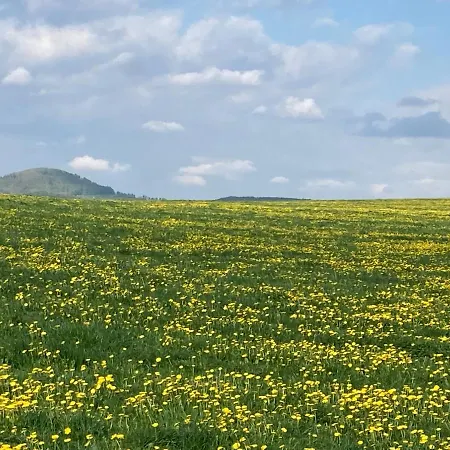 펜션 Erzgebirgshaus Zirbenliebe