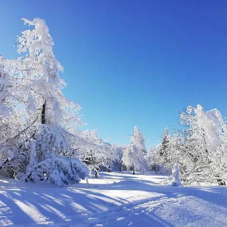 Erzgebirgshaus Zirbenliebe Altenberg