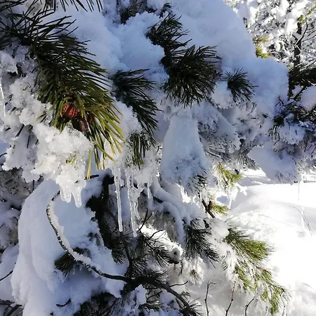 Erzgebirgshaus Zirbenliebe 펜션 *