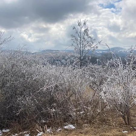 Holiday home Erzgebirgshaus Zirbenliebe *
