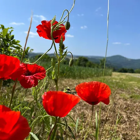 Erzgebirgshaus Zirbenliebe