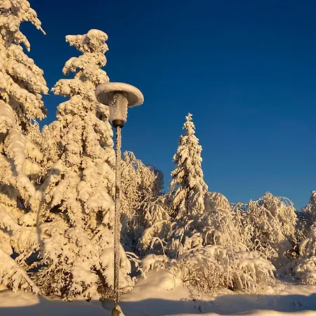 Feriehus Zirbenliebe Altenberg