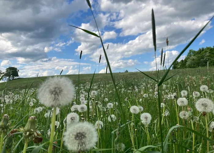 Erzgebirgshaus Zirbenliebe *