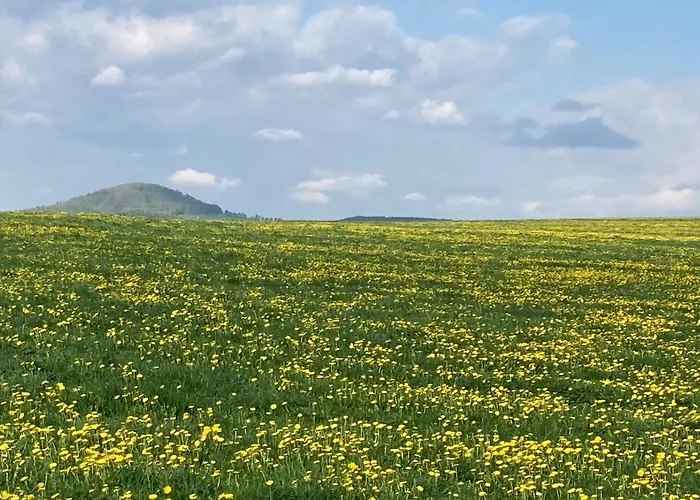 Nyaraló Erzgebirgshaus Zirbenliebe