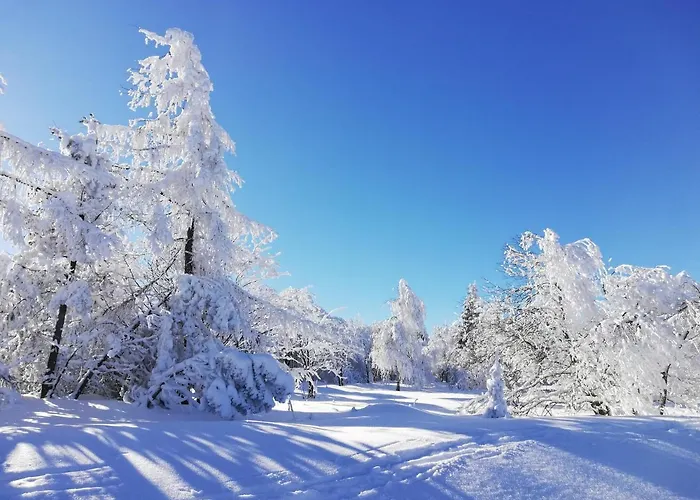 Erzgebirgshaus Zirbenliebe Altenberg