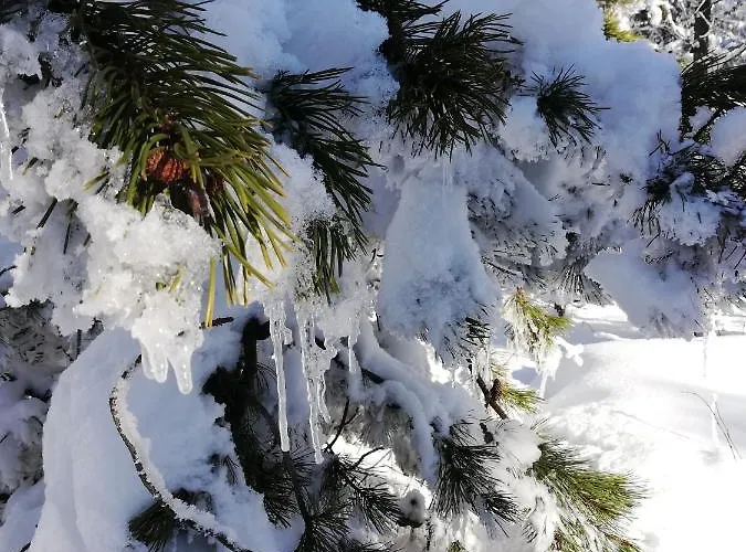 Erzgebirgshaus Zirbenliebe Holiday home *