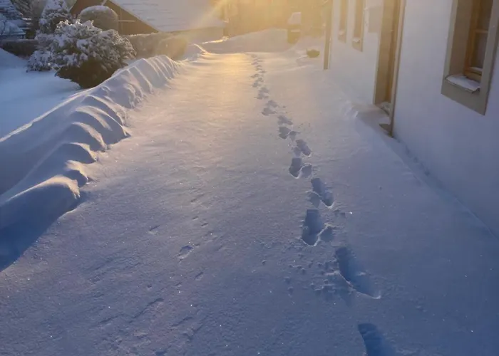 Holiday home Erzgebirgshaus Zirbenliebe Altenberg