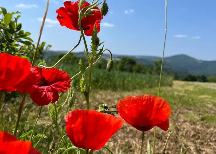 Erzgebirgshaus Zirbenliebe